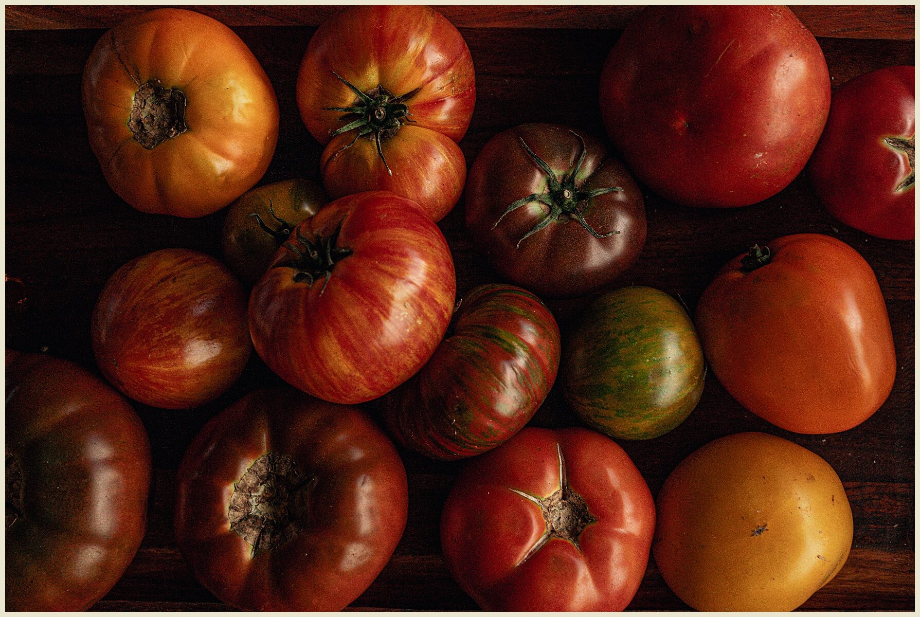 Heirloom Tomatoes in Asheville, NC photography.